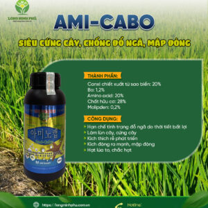ami cabo