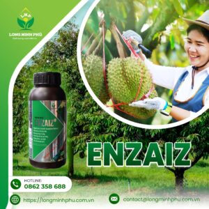 ENZAIZ KÍCH RỄ BUNG ĐỌT