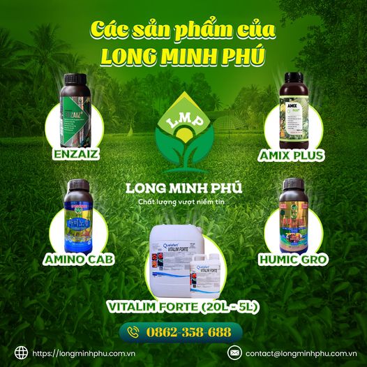 phan-bon-long-minh-phu