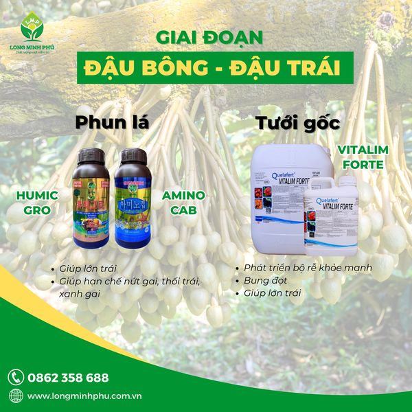 phan-bon-long-minh-phu