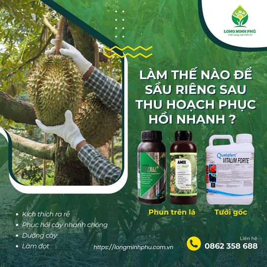 phan-bon-long-minh-phu