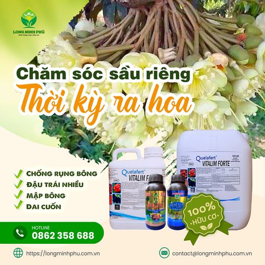 phan-bon-long-minh-phu
