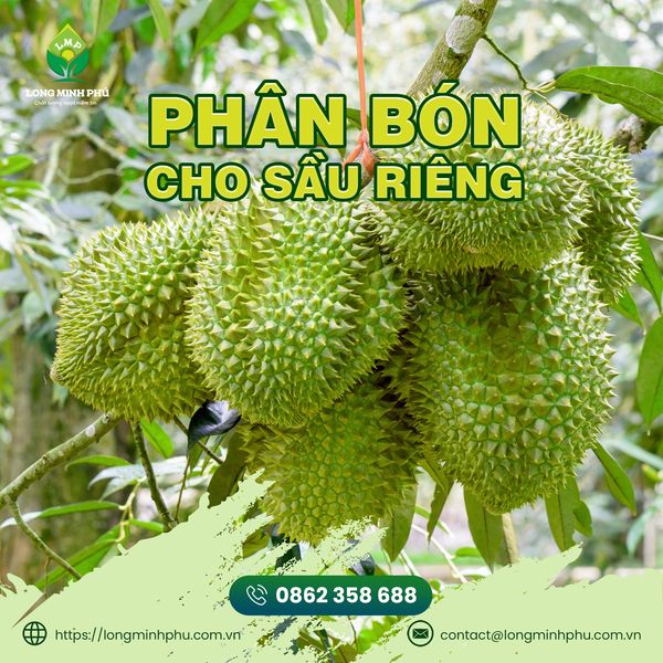 phan-bon-long-minh-phu