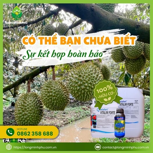 phan-bon-long-minh-phu