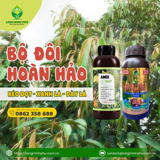 phan-bon-long-minh-phu