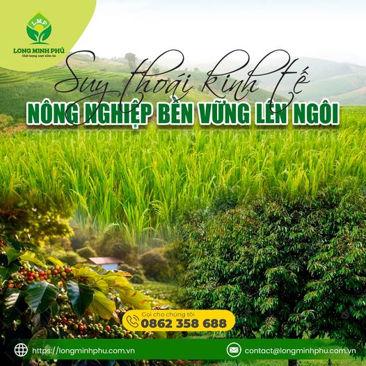 phan-bon-long-minh-phu