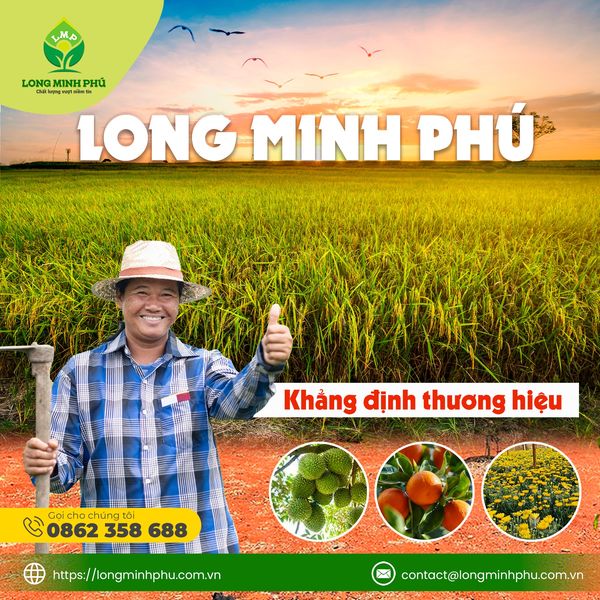 LONG MINH PHÚ