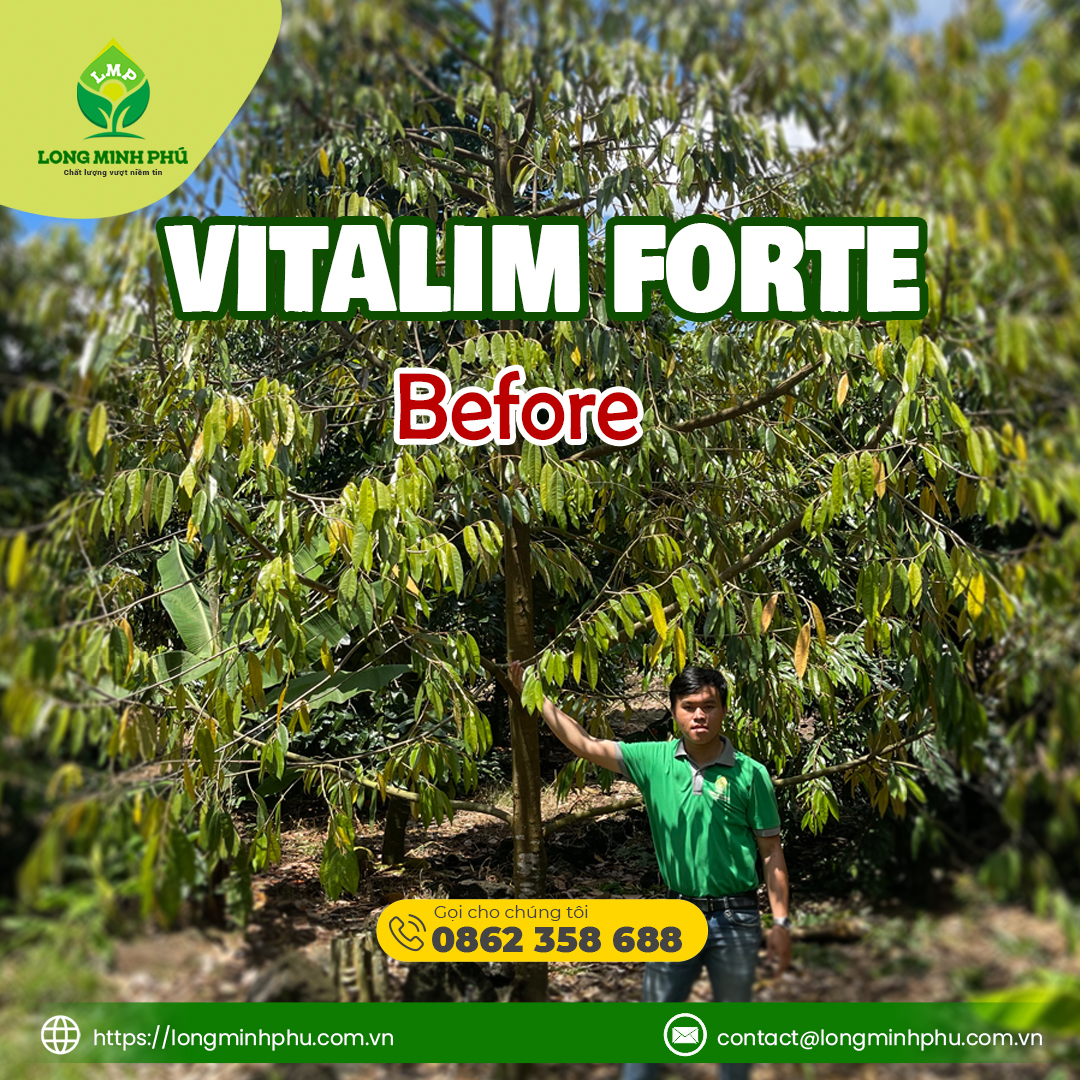 VITALIM FORTE