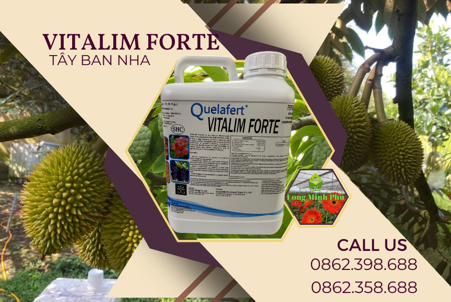 VITALIM FORTE