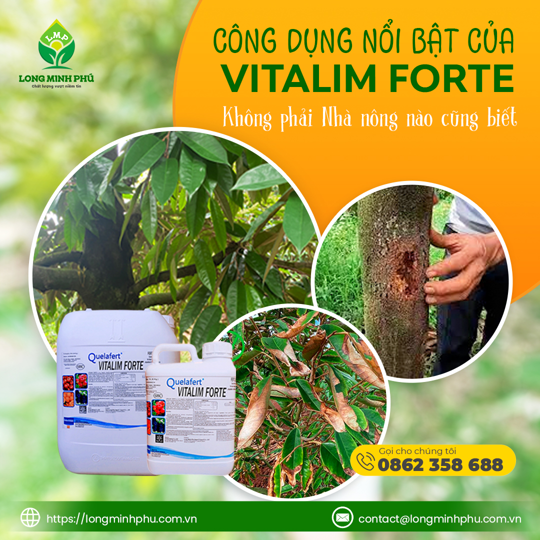 CÔNG DỤNG NỔI BẬT CỦA VITALIM FORTE