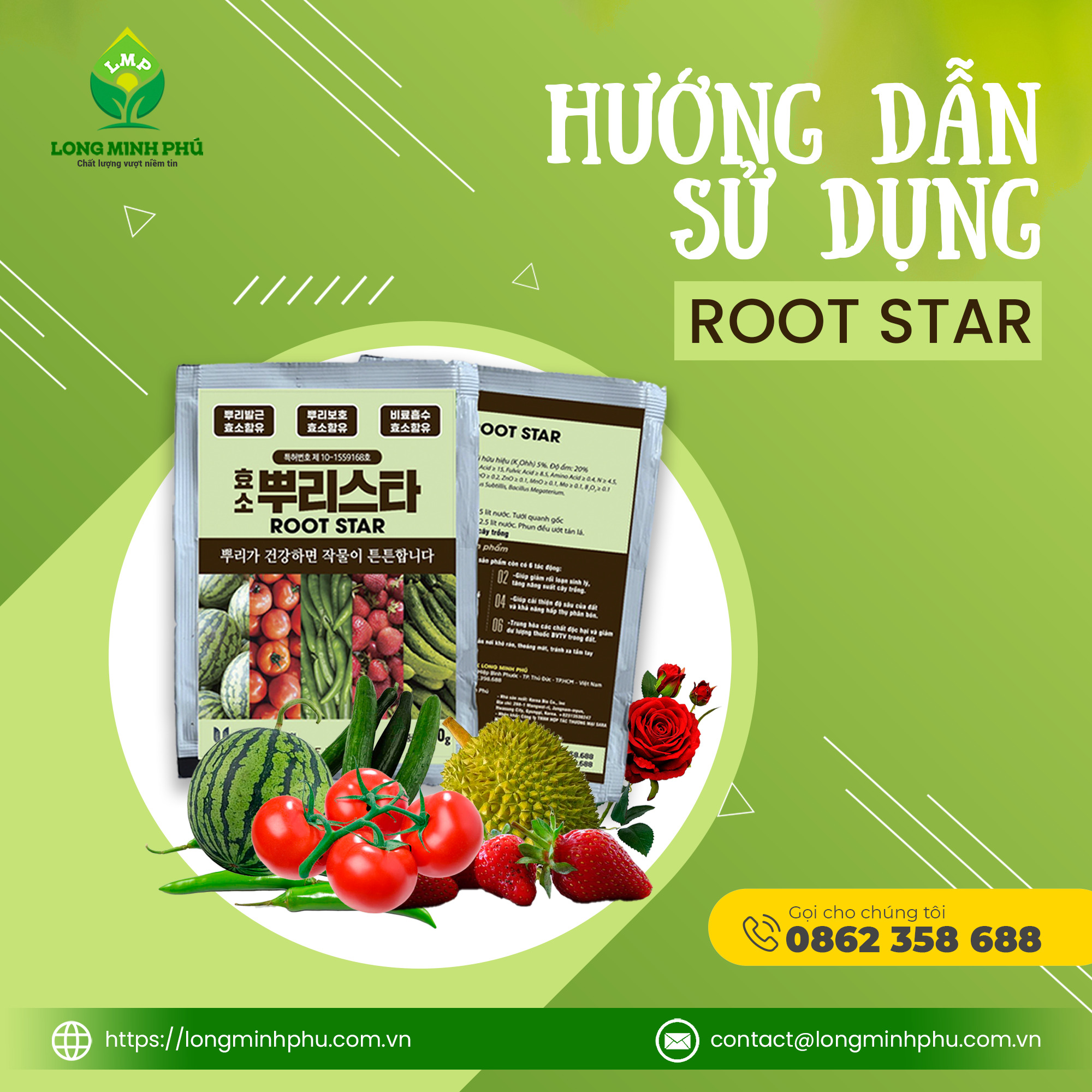 ROOT STAR