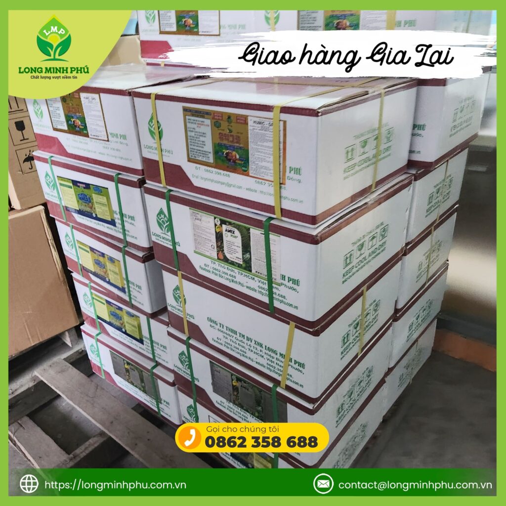 CHUYẾN HÀNG GIA LAI ĐẦU THÁNG MỚI