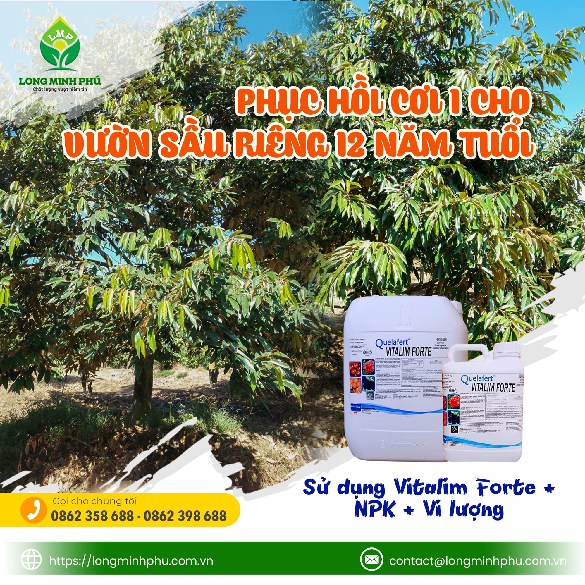 vitalimforte-phan-bon-long-minh-phu