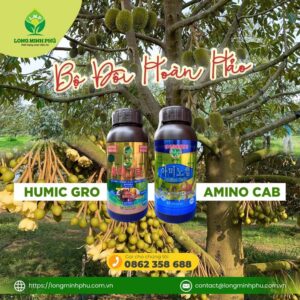 amino cab