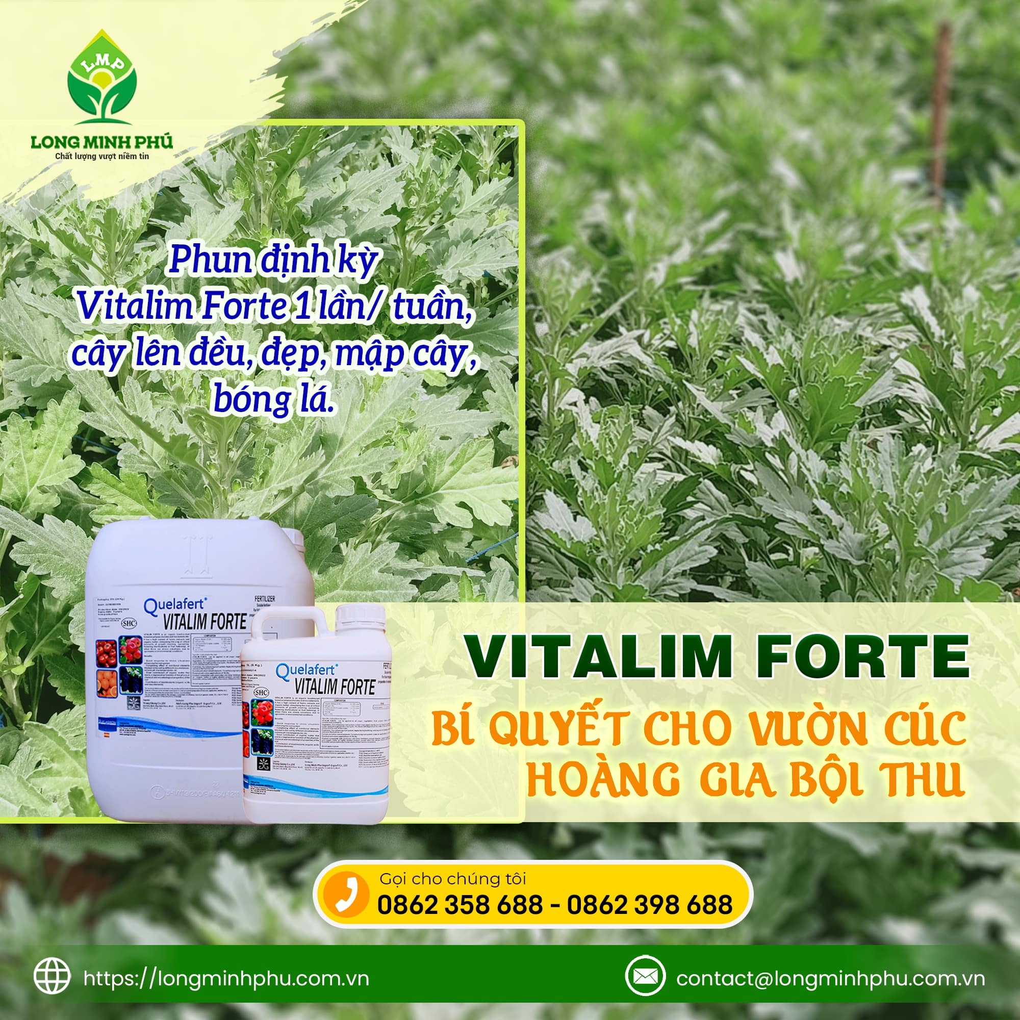 vitalimforte-phan-bon-long-minh-phu