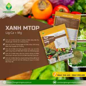 xanh mtop