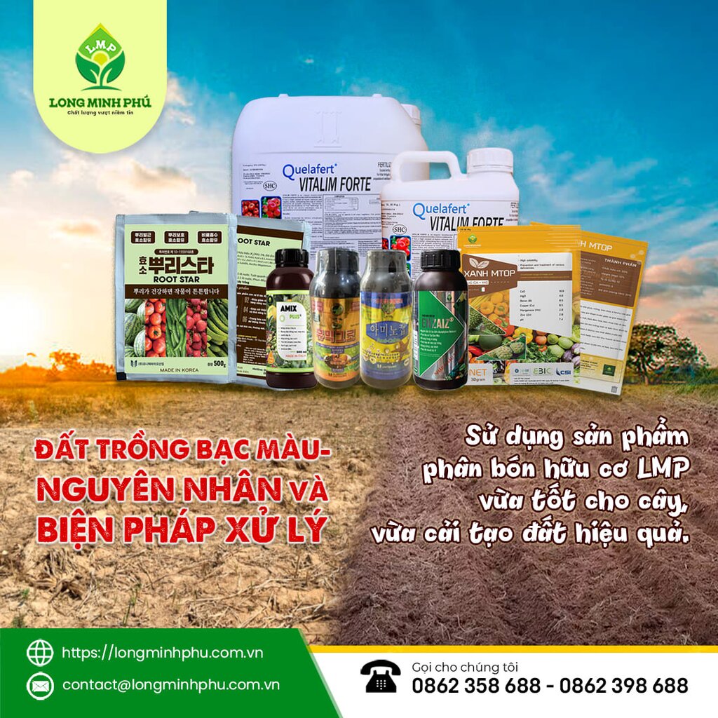 ĐẤT TRỒNG BẠC MÀU
