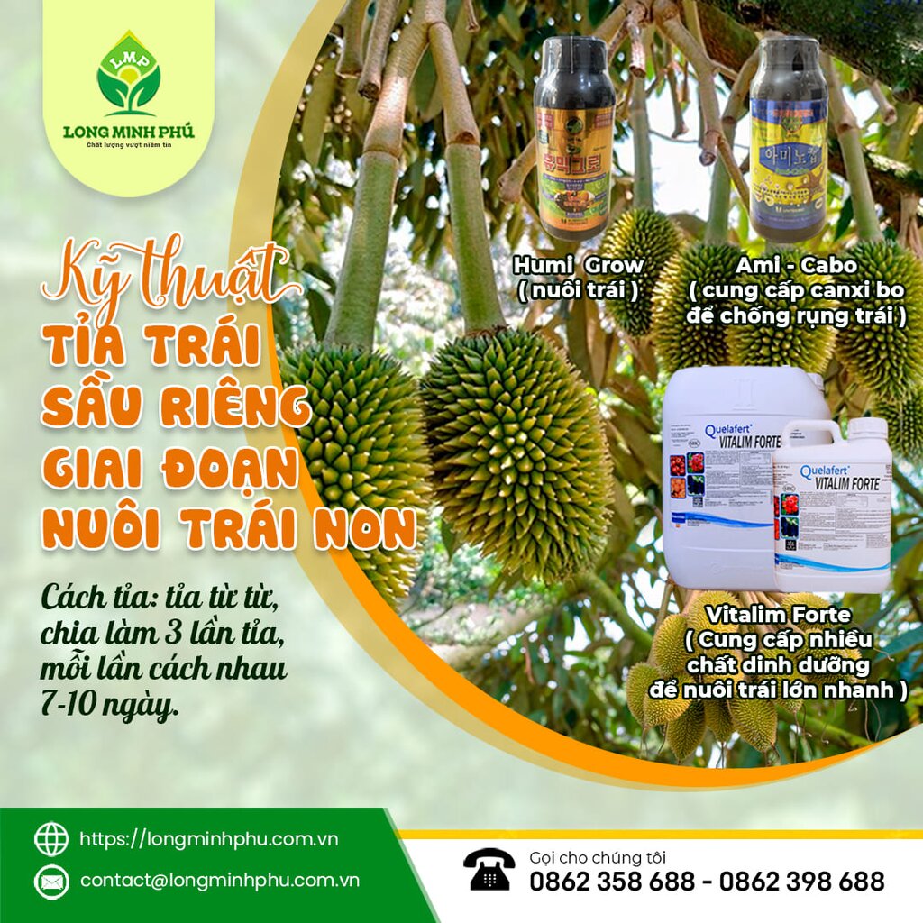 kythuatcattiatrainon-phan-bon-long-minh-phu