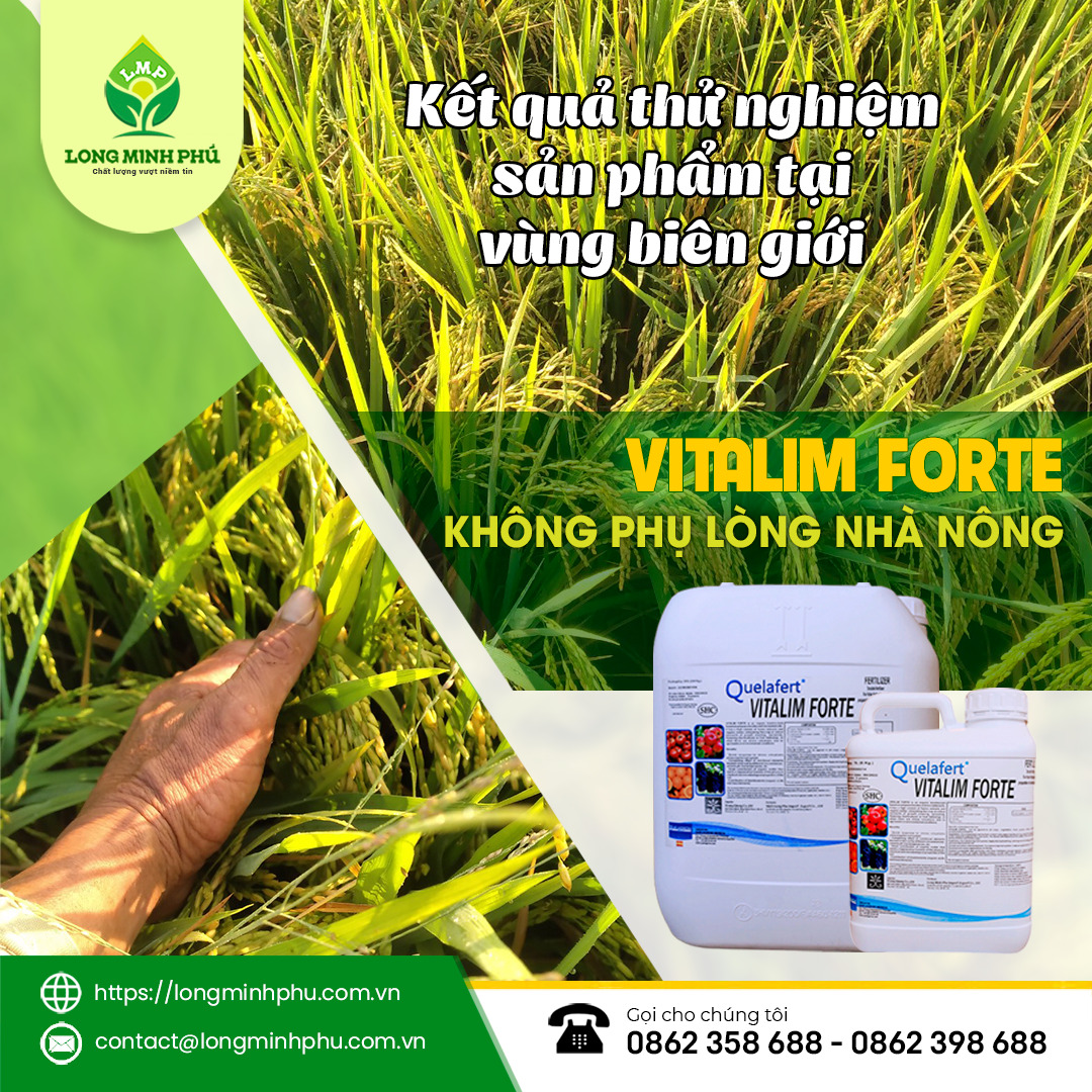 VITALIM FORTE