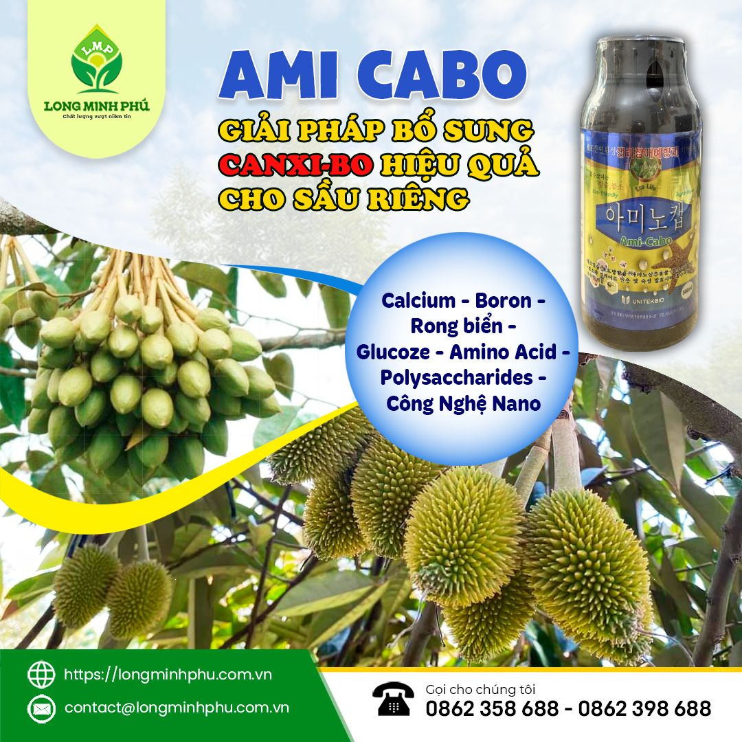 bo-sung-canxi-bo-cho-sau-rieng-khi-nao