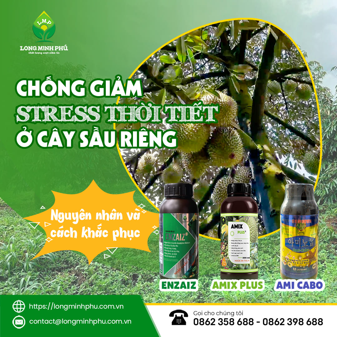 giam-stress-cay-sau-rieng