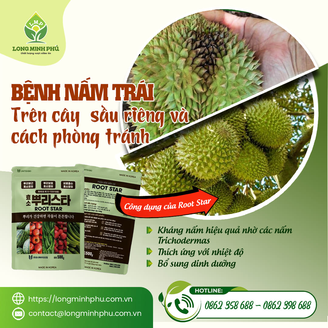 BỆNH NẤM TRÁI