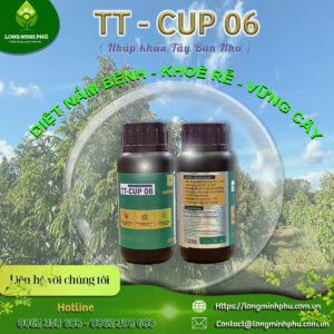 tt cup 06