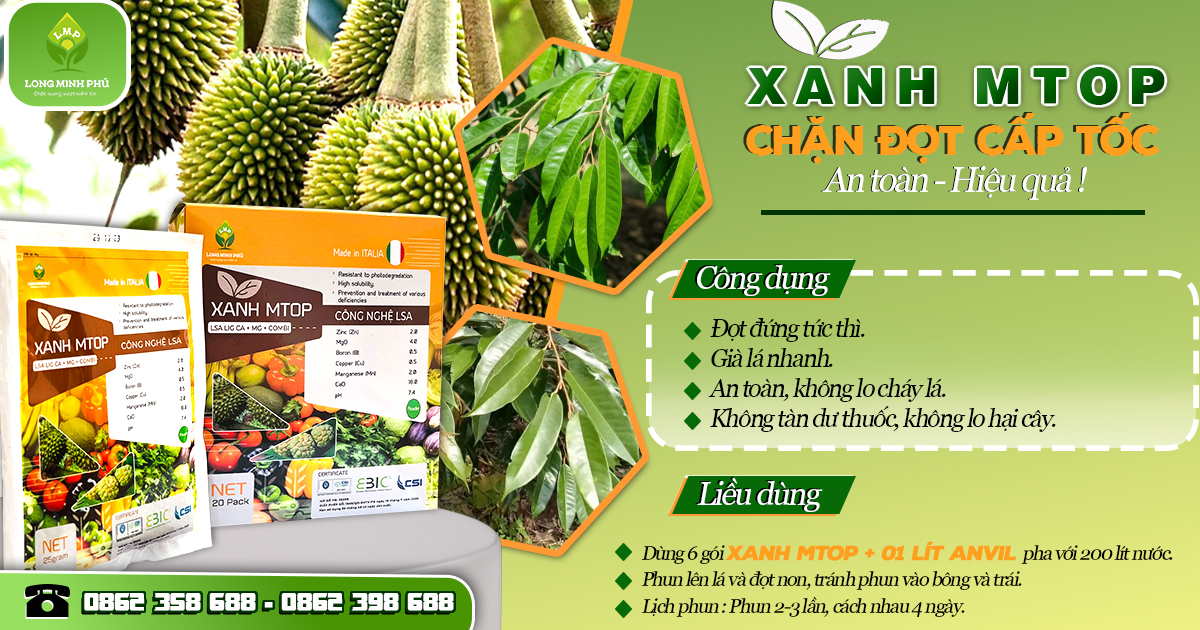 CHẶN ĐỌT SẦU RIÊNG