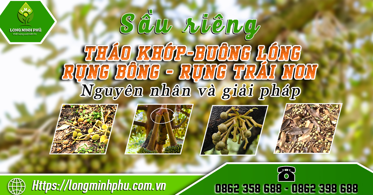 RUNG-BONG-SAU-RIENG