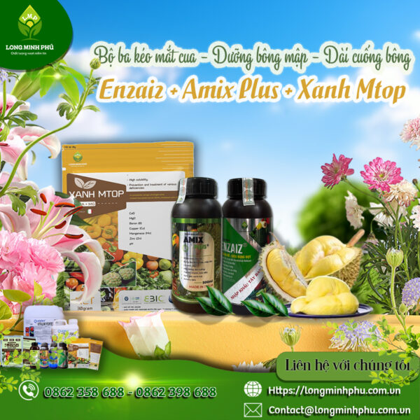 KÉO MẮT CUA