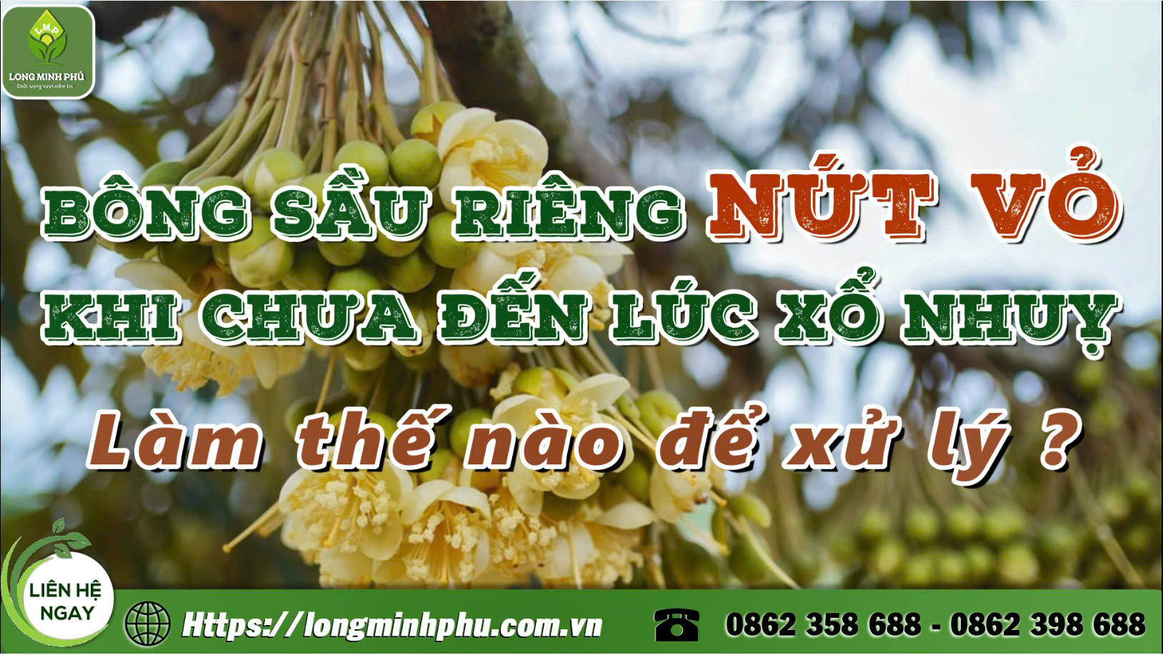 nut-bong-sau-rieng