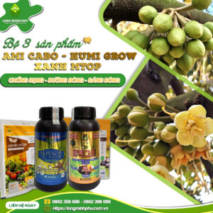BỘ BA CHỐNG RỤNG – DƯỠNG BÔNG