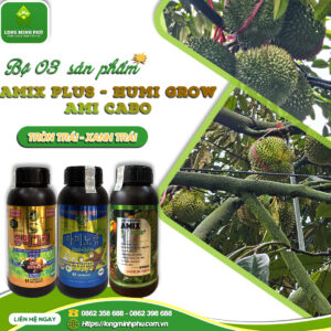 BỘ BA SỬA TƯỚNG TRÁI