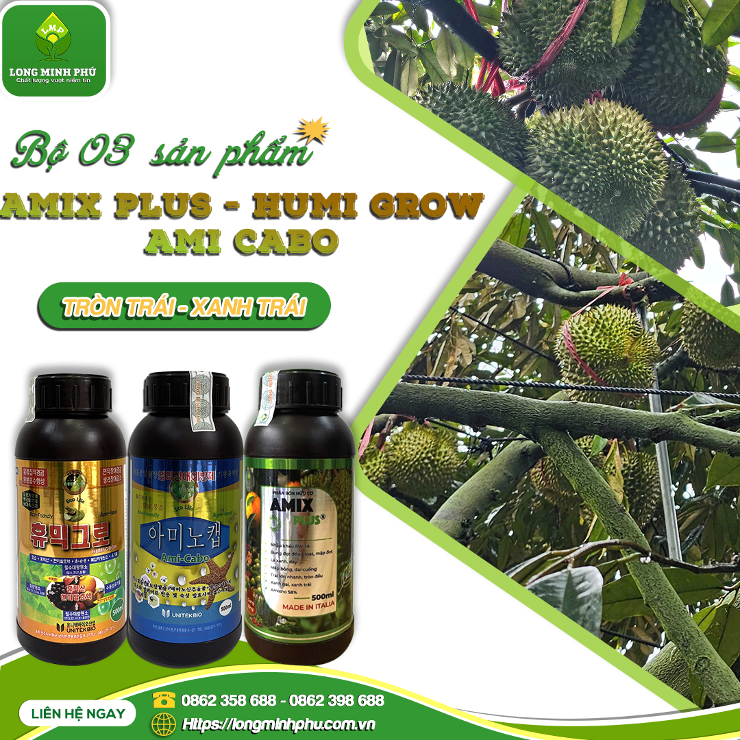 BỘ BA SỬA TƯỚNG TRÁI