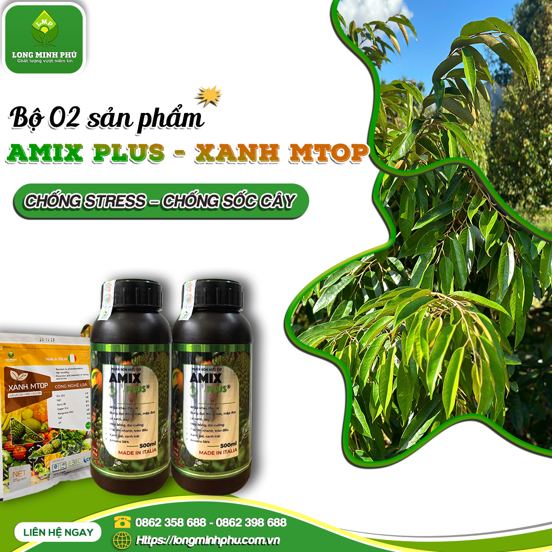 chống sốc