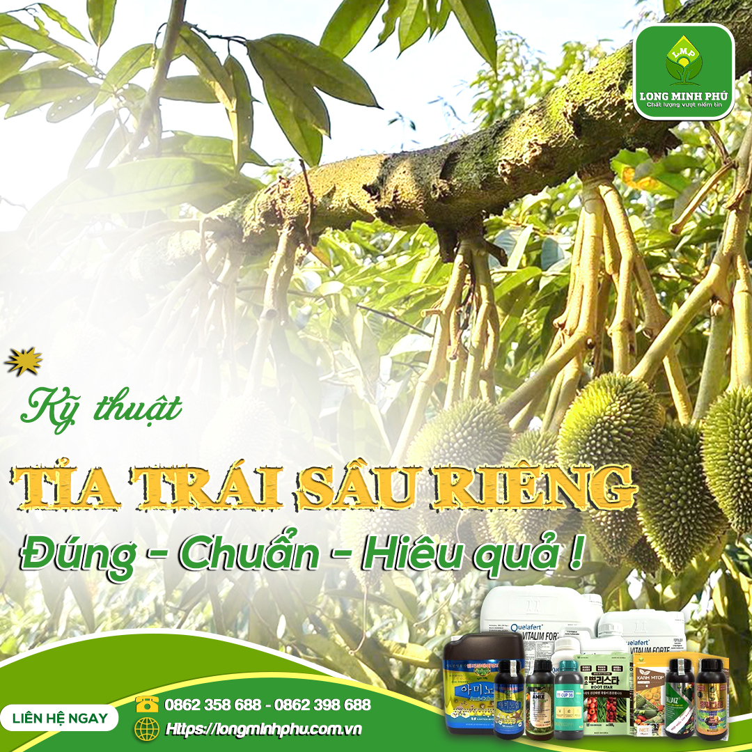KY-THUAT-TIA-TRAI-SAU-RIENG