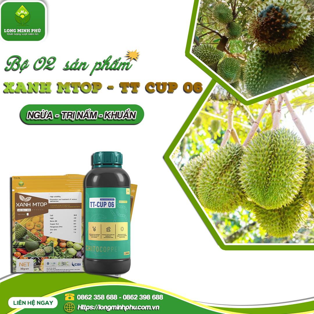 BỘ ĐÔI NGỪA, TRỊ NẤM – KHUẨN