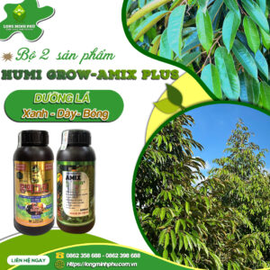 BỘ ĐÔI DƯỠNG LÁ DÀY-BÓNG