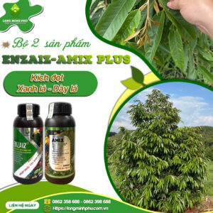KÍCH ĐỌT