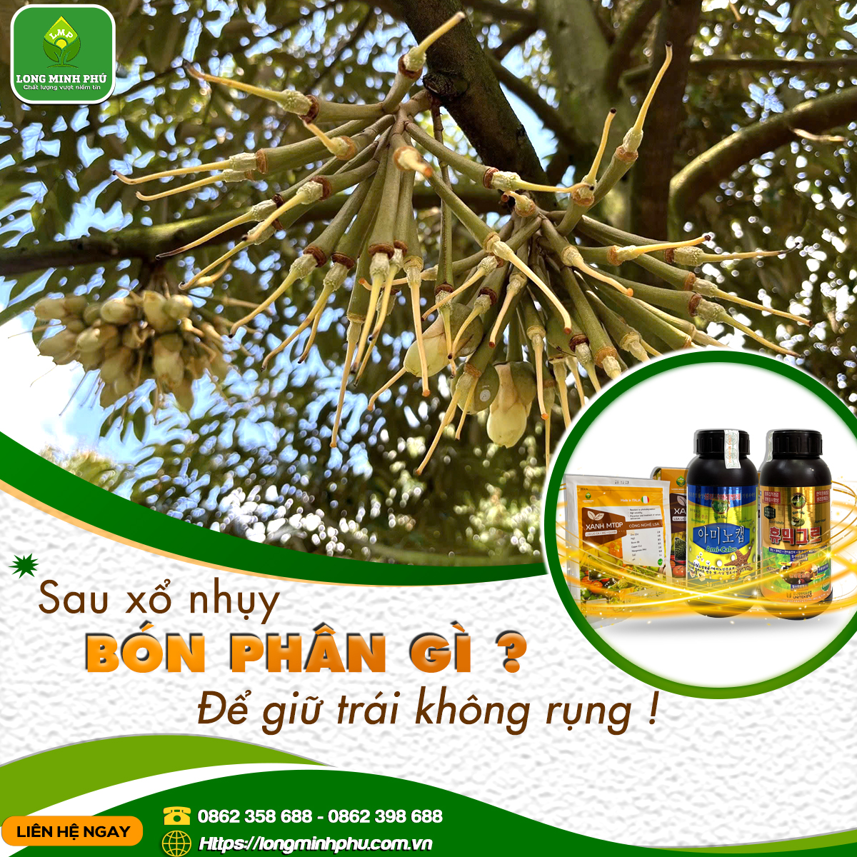 XỔ NHỤY