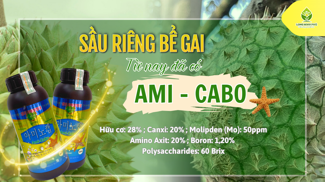 SẦU RIÊNG BỊ BỂ GAI