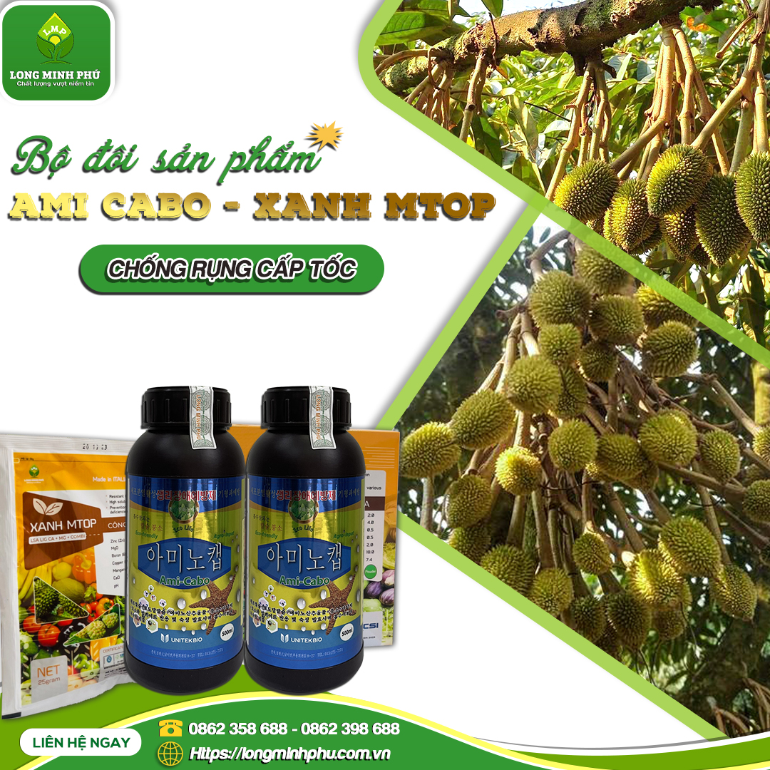 CHỐNG RỤNG TRÁI NON SẦU RIÊNG