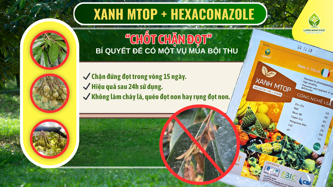 CHẶN ĐỌT SẦU RIÊNG