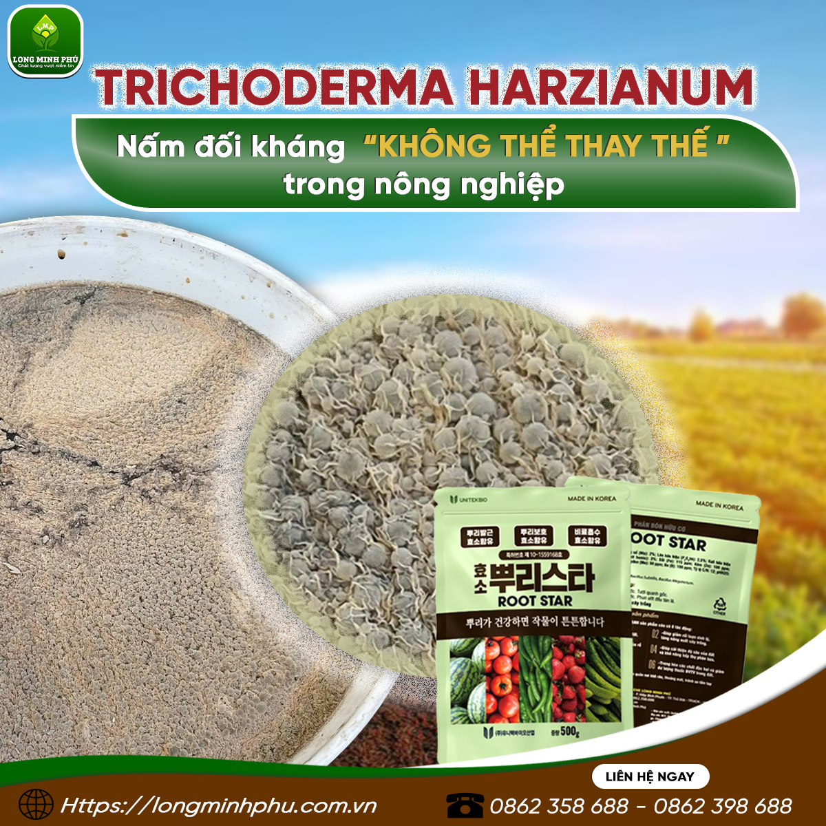 TRICHODERMA HARZIANUM