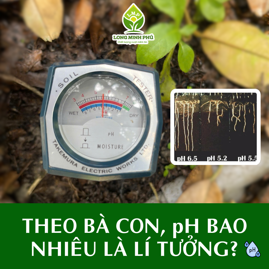 pH ĐẤT