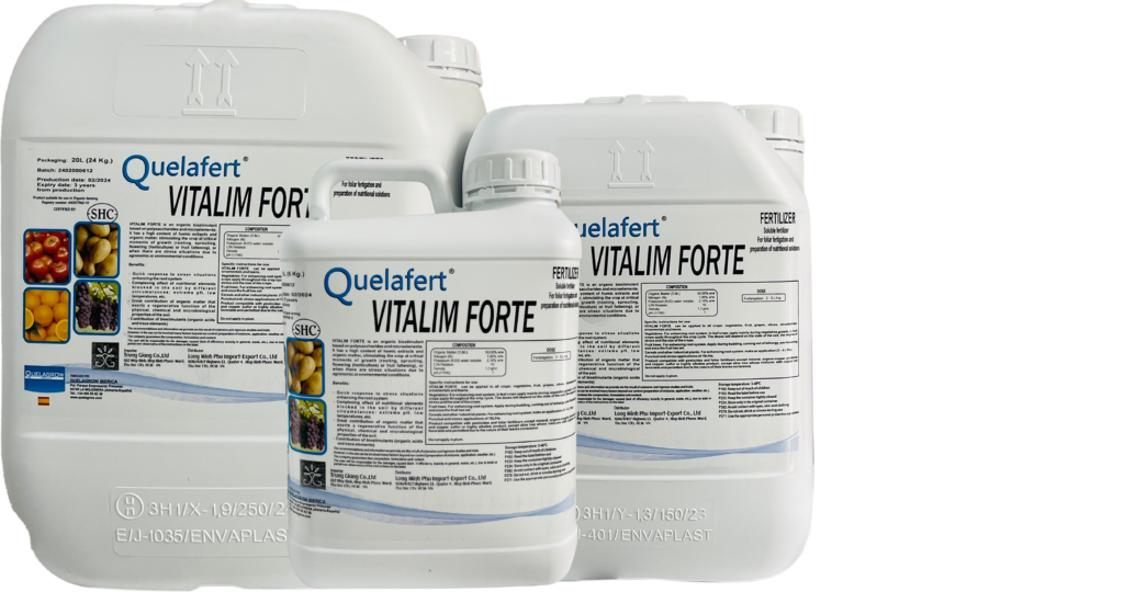 VITALIM FORTE