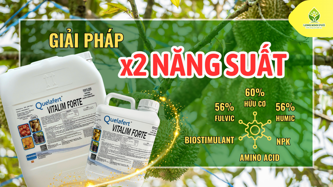 PHÂN BÓN HỮU CƠ