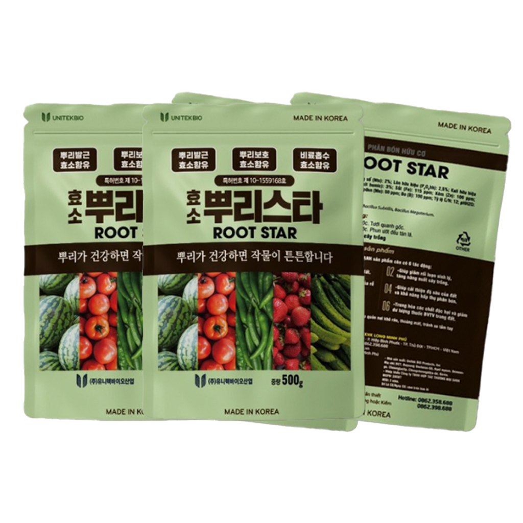 ROOT STAR