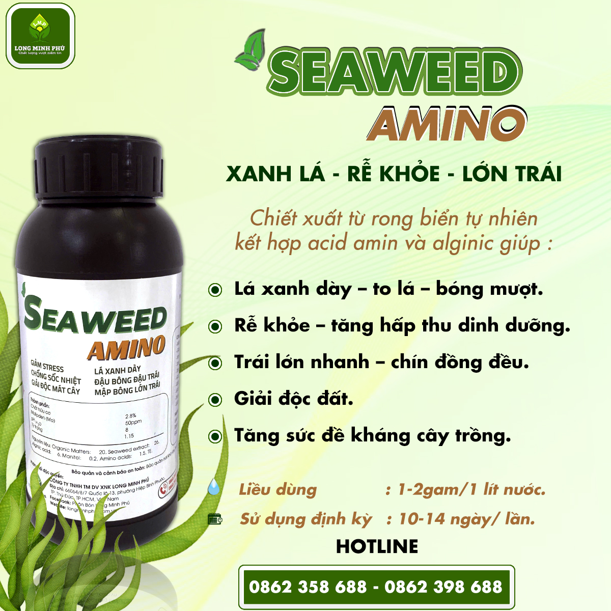 SEAWEED AMINO