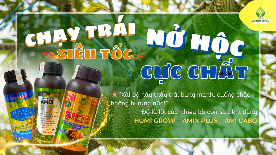 CHẠY TRÁI SẦU RIÊNG